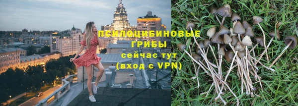 ГАЛЛЮЦИНОГЕННЫЕ ГРИБЫ Арсеньев