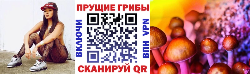 закладки  ссылка на мегу   Галлюциногенные грибы прущие грибы  Котельниково 